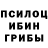 Галлюциногенные грибы мухоморы Debbie altman