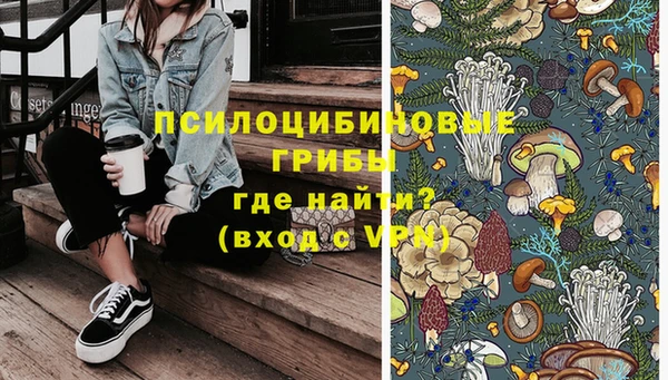 крисы Абдулино