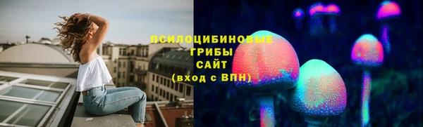 a pvp Абаза