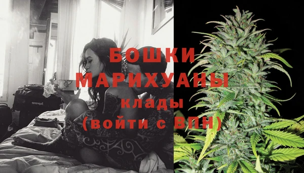 крисы Абдулино