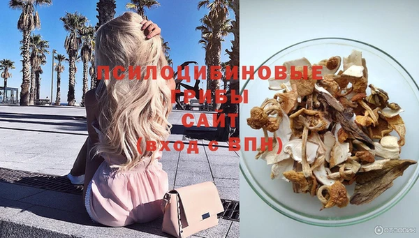 крисы Абдулино