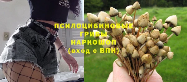 крисы Абдулино