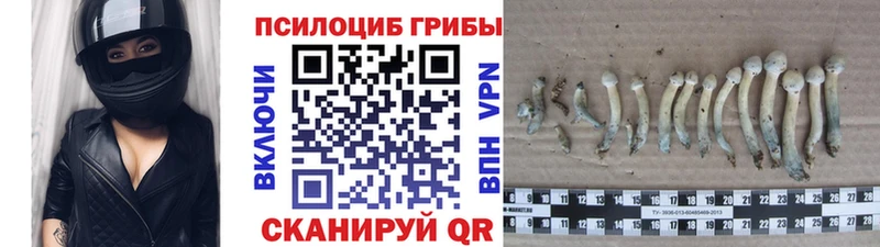 Псилоцибиновые грибы GOLDEN TEACHER  Братск 